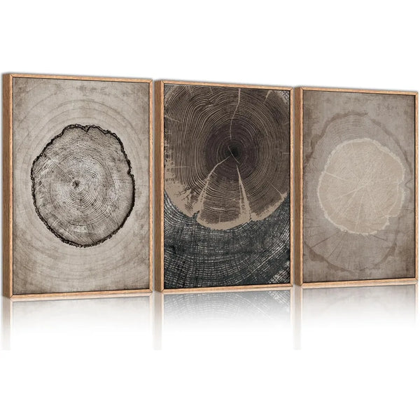 Beige Tree Ring Framed Canvas Wall Art - Set of 3